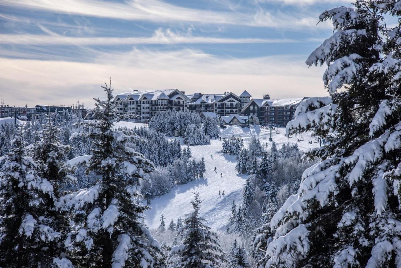 Ski In/Out Snowshoe Dış mekan fotoğraf